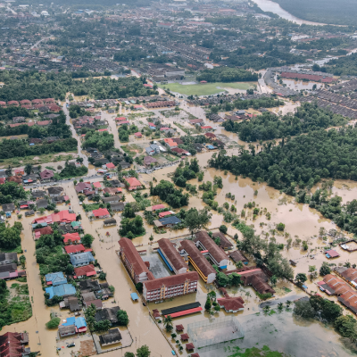 Protos_Insurance Risk Assessment